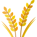 wheat-plant